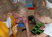 IMG_20260422_100328