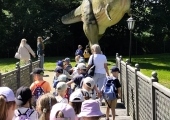 IMG_20260617_102733