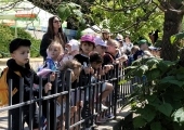 IMG_20260617_105456